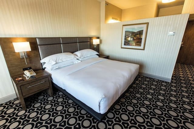 Room, 1 King Bed, Accessible