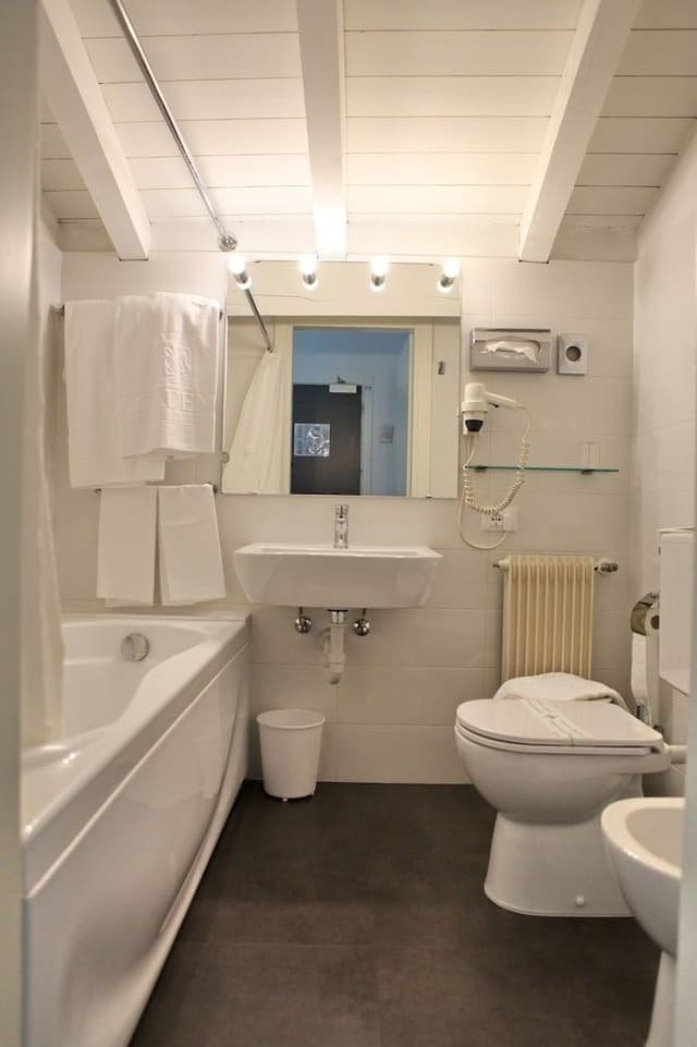 Classic Triple Room