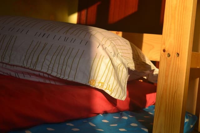 1 Bed in Female Dormitory Room