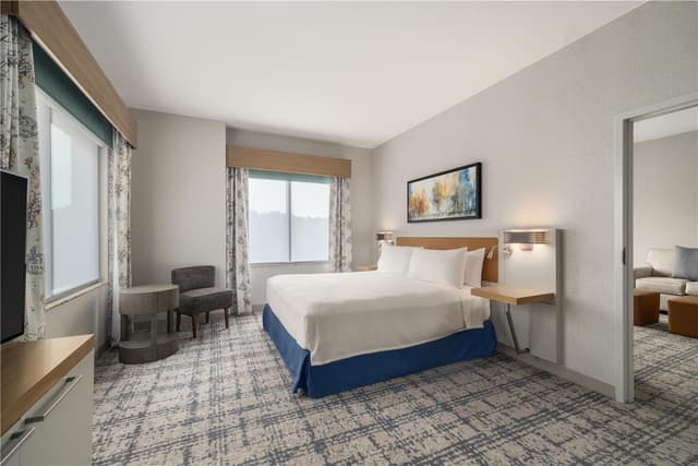 1 KING BED 1 BEDROOM SUITE