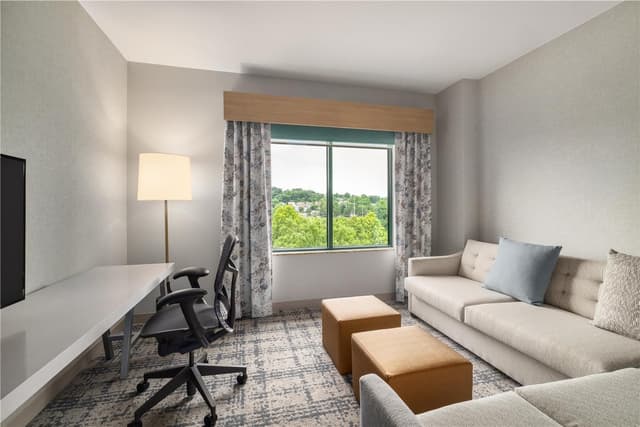 1 KING 1 BDRM STE HEARING ACCESSIBLE