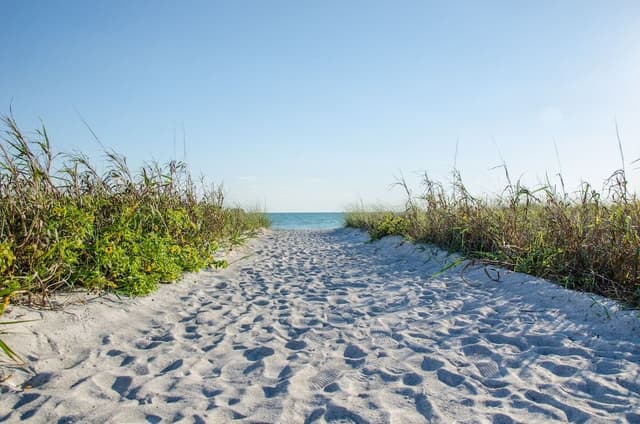 Beachfront Condo