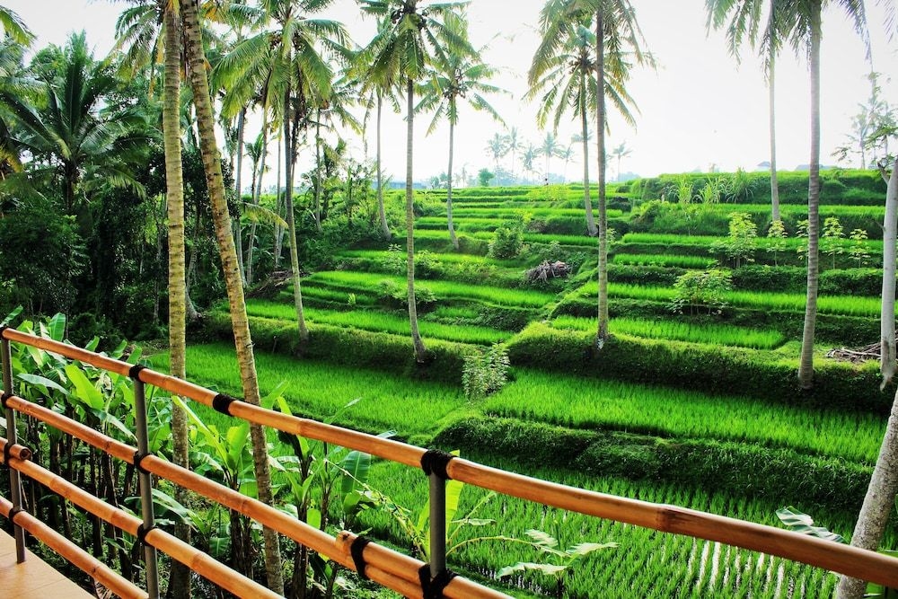 Junjungan Suite Villa2