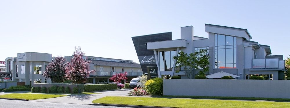 Beechtree3
