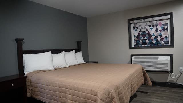 Single Room, 1 King Bed