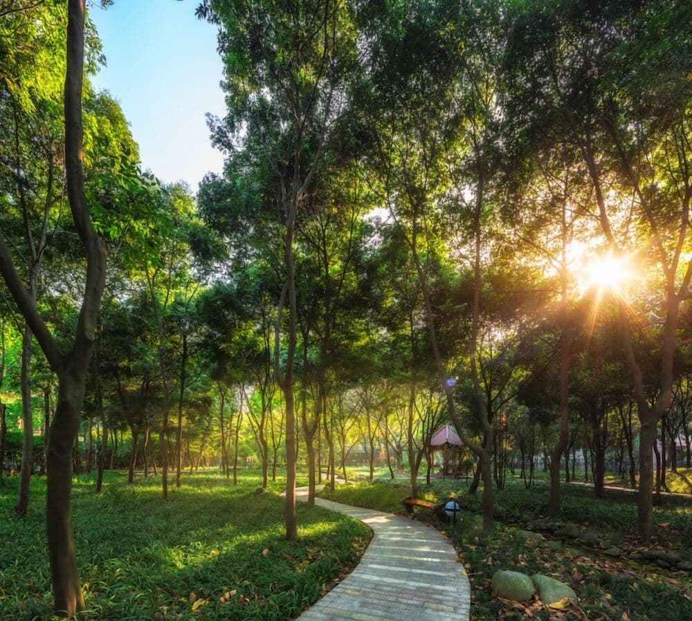 WANGJIANG CHENGDU WANGJIANG CHENGDU