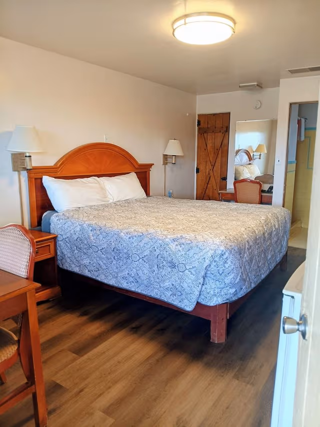 Basic Single Room