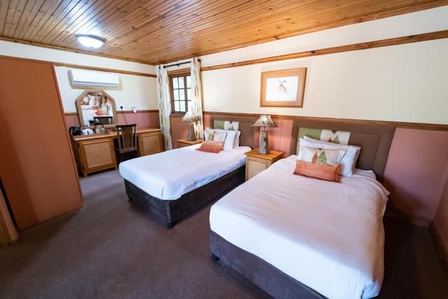 Standard Twin Room