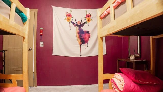 Shared Dormitory, Men only (4 Person)