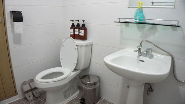 Basic Shared Dormitory, Women only