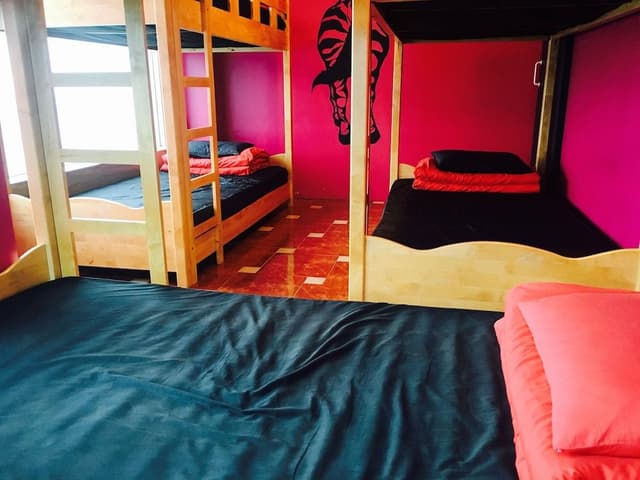 Shared Dormitory, Women only (6 persons)