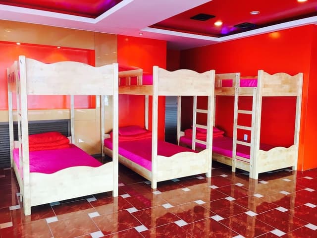 Shared Dormitory, Women only (18 persons)