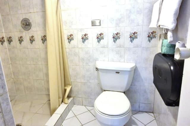 Room, 1 King Bed, Non Smoking (Jetted Tub)