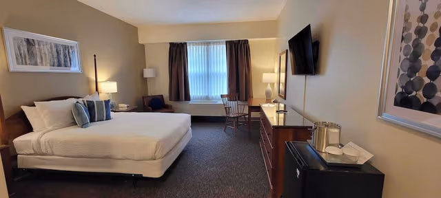 Room, 1 Queen Bed