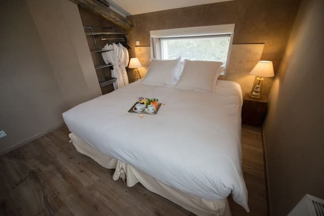 Deluxe Suite (Richard Virenque)