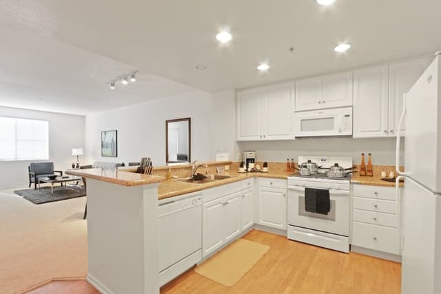 Luxury Apartment, 1 Bedroom