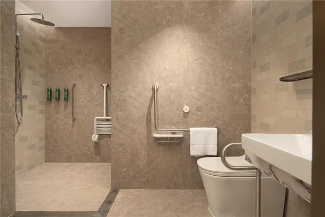 KING ACCESSIBLE ROOM