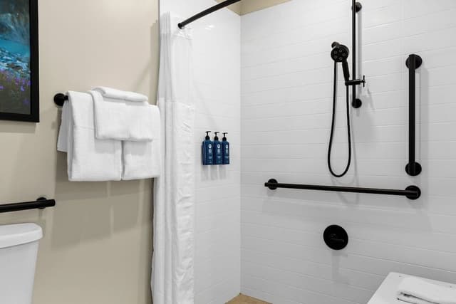 Deluxe Condo, 1 Bedroom