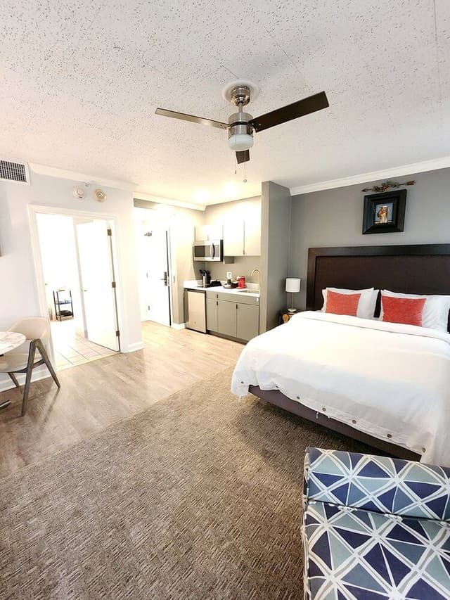Comfort Studio, Bathtub Grab Bars, City View