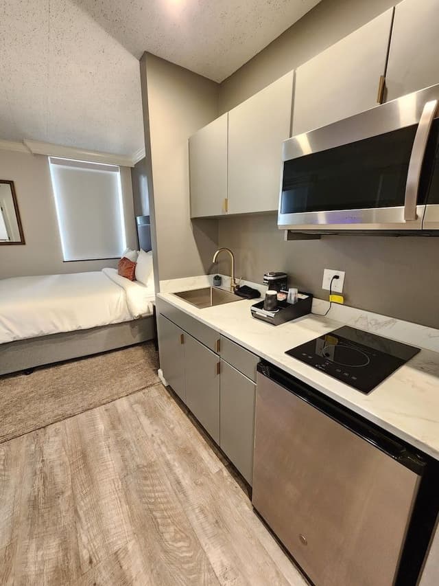 Comfort Studio, Bathtub Grab Bars, City View