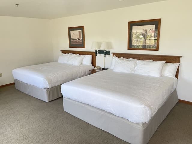 Suite, Kitchenette (2 King Beds and 1 Sofa Bed)