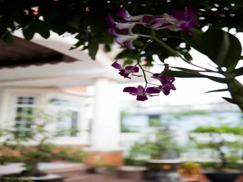 Beautiful Moon Hoi An Villa Beautiful Moon Hoi An Villa