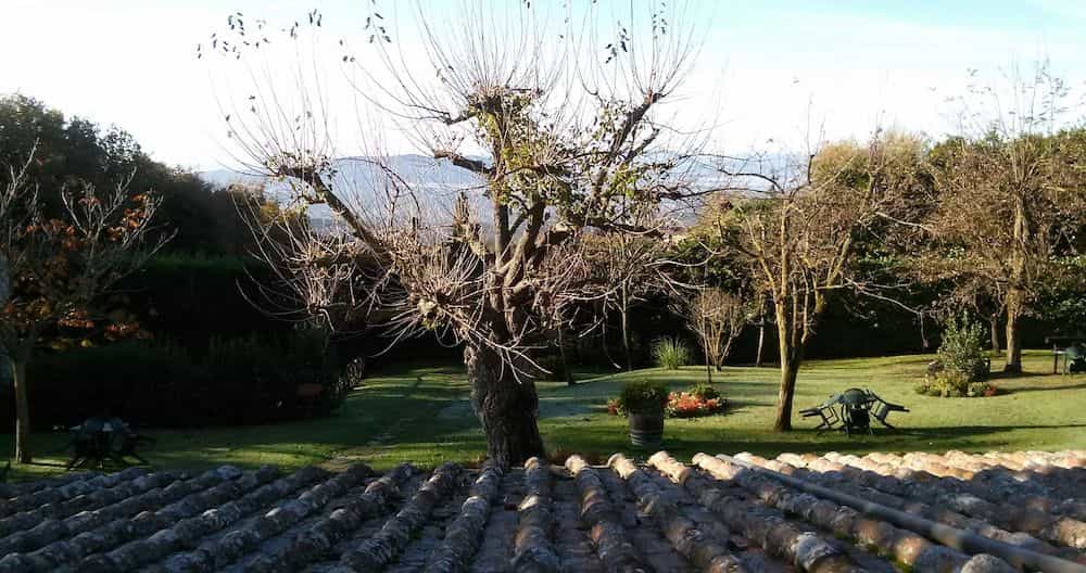 Colle Etrusco Salivolpi