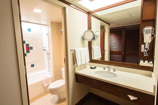 Deluxe Room, 1 King Bed, Non Smoking