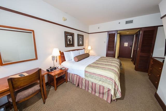 Deluxe Room, 1 King Bed, Non Smoking