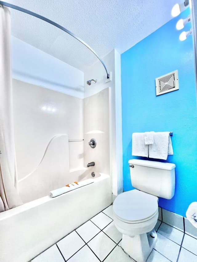 Basic Single Room, 1 King Bed