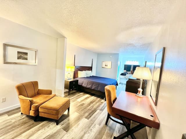 Basic Single Room, 1 King Bed