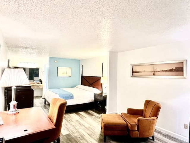 Basic Single Room, 1 King Bed