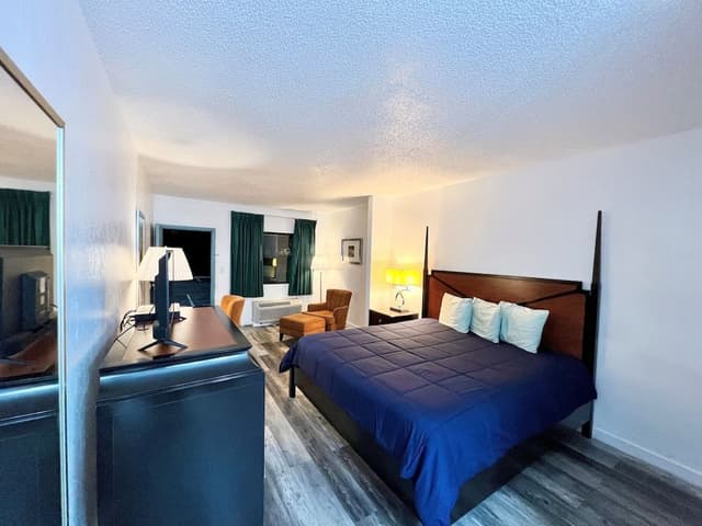 Basic Single Room, 1 King Bed