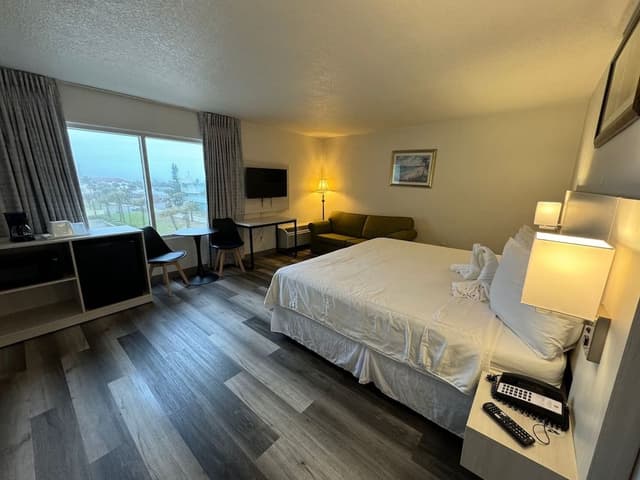 City Room, 1 King Bed, City View