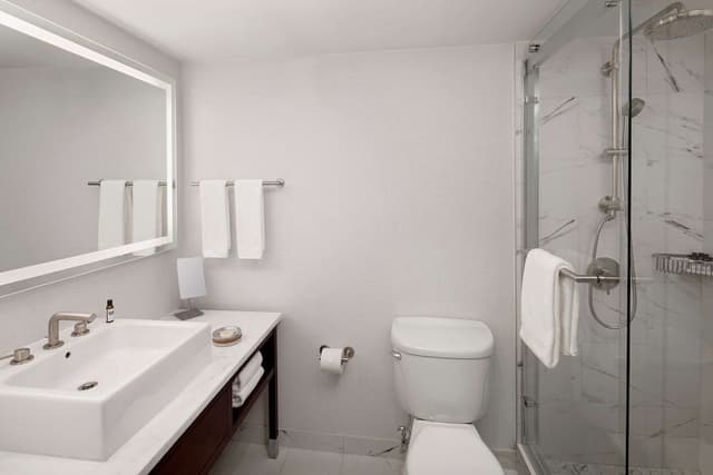 Studio Suite, 1 King Bed with Sofa bed (High Floor)