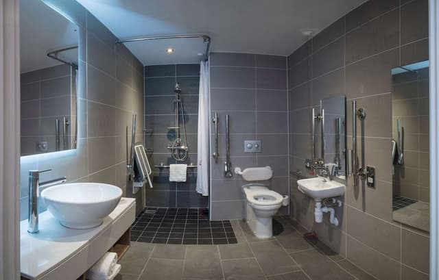 Room, 1 King Bed, Accessible (Pitch View)