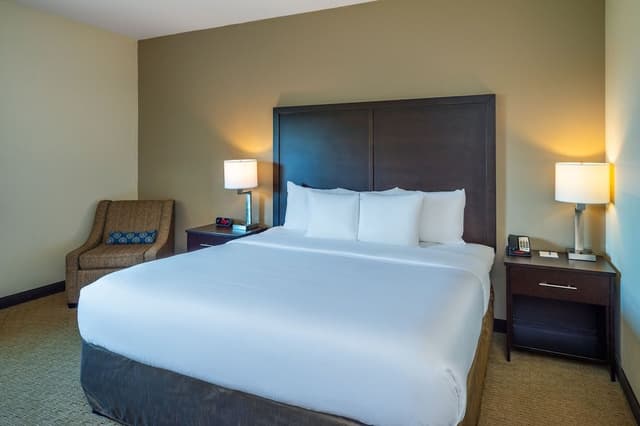 Room, 1 King Bed, Non Smoking