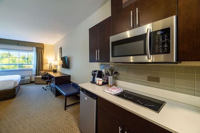 Efficiency, Suite, 1 King Bed with Sofa bed, Non Smoking