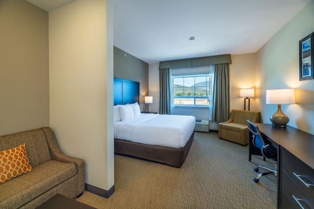 Suite, 1 King Bed with Sofa bed, Non Smoking