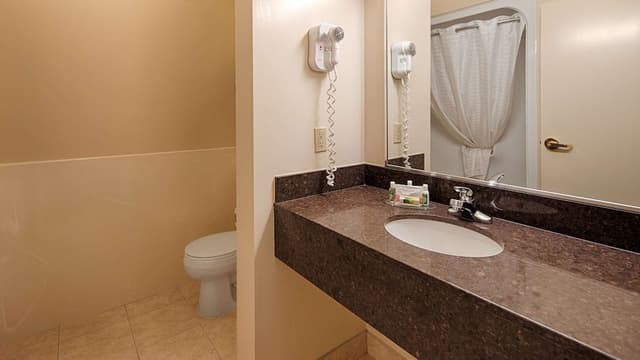 Business Room, 1 Queen Bed, Non Smoking, Refrigerator & Microwave