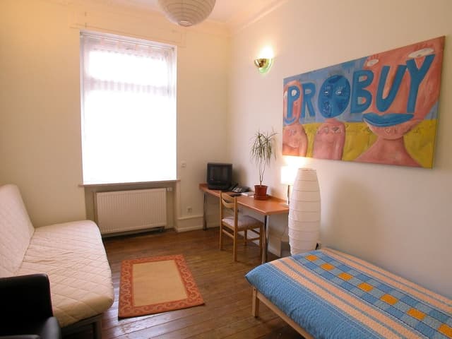 Single Room, 1 Twin Bed