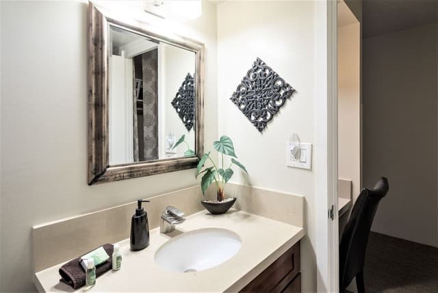 #1702 - The Palm Studio with Full Kitchen