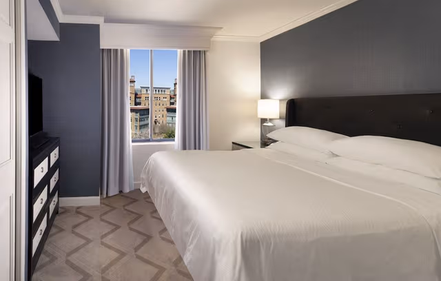 Suite, 1 King Bed with Sofa bed