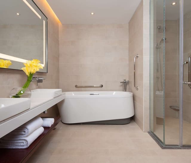KING ONE BEDROOM JUNIOR SUITE