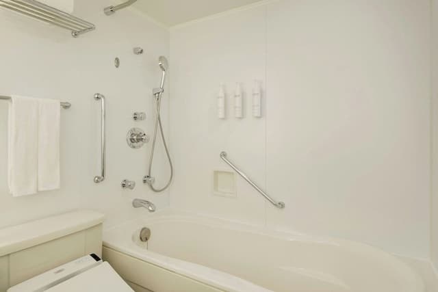 Room, 1 King Bed