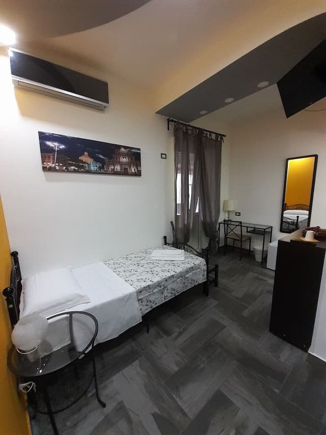 Single Room, Accessible, City View