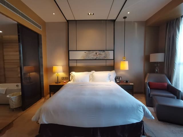 Premium Room, 1 King Bed, Bathtub (Round Bathtub)