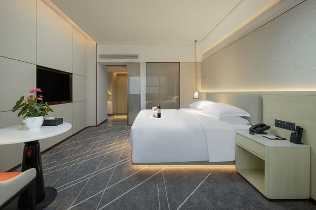 Superior Single Room