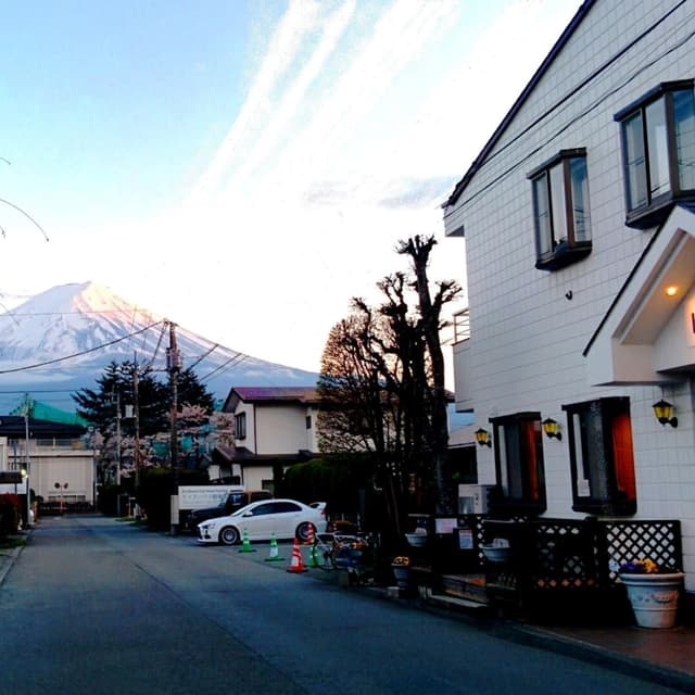 Deluxe Japanese-Style Ensuite Room with Mt.Fuji View