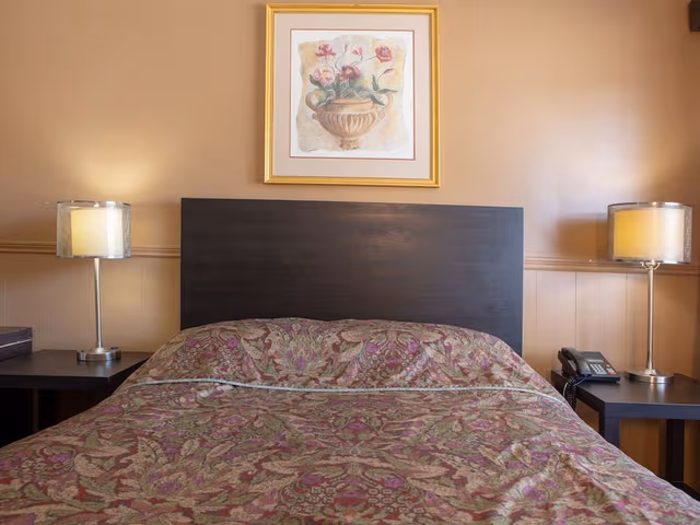 Room, 1 Queen Bed